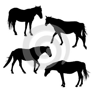 Horses silhouettes set 3