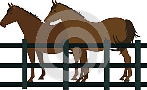 Horses in stall vector icon isolated on white