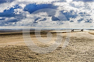 Horses Sulkies Utah D-day Landing Beach Normandy France