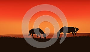 Horses at sunset vector