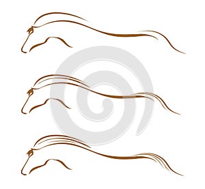 Horses swooshes logo photo