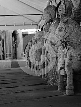 Horses temple thailande warriors