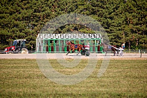 Horses trotter breed in motion on hippodrome