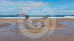 Horses Trotting on Beach with Bass Rock in the Background