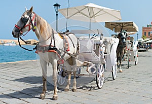 Horses and vintage carriages.