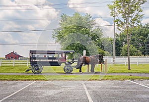 Horses With Wagon in Amish Country