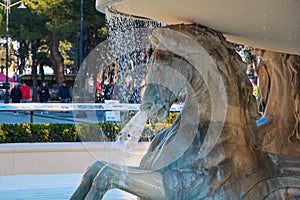 Horses on white marble fountain