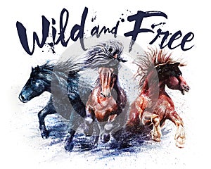 Horses wild and free, watercolor painting, trio of horses photo