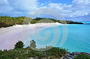 Horseshoe Bay beach in Bermuda