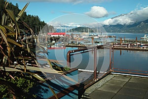 Horseshoe Bay, West Vancouver British Columbia. Canada