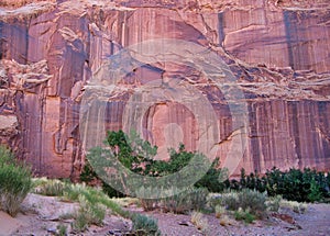 Horseshoe Canyon Trail in Canyonlands National Park