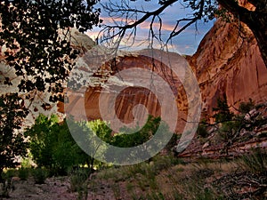 Horseshoe Canyon Trail in Canyonlands National Park photo