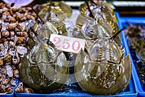 Horseshoe crabs are sold at Ban Chong Samaesan Seafood Market photo