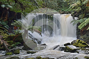 Horseshoe Falls