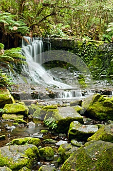 Horseshoe Falls, Mt Field National Park, Tasmania