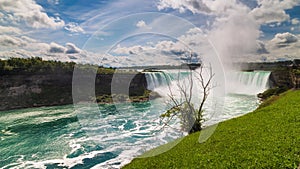 Horseshoe Falls at Niagara with a bare tree in front