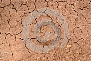 Horseshoe footprint in cracked ground in drought