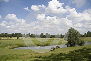 Horseshoe-shaped moat