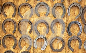 Horseshoes hang on the wall