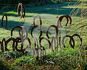 Horseshoes hanging upside down on a wire fence, New Zealand