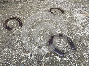 Horseshoes set in a stone