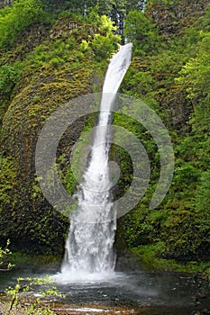 Horsetail Fall OR 00117