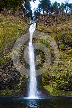 Horsetail falls along the columbia river gorge