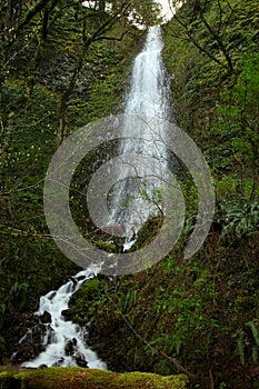 Horsetail Falls in the Columbia River gorge, in Oregon, USA