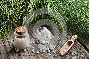 Horsetail healing herb and two bottles of homeopathic globules. Homeopathy