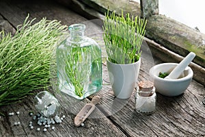 Horsetail healing herbs, bottle of equisetum infusion, mortar and bottles of homeopathic globules.