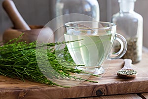 Horsetail tea with fresh and dried horsetail