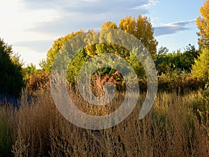 Riparian Autumn Splendor photo