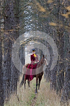 Horsewoman photo