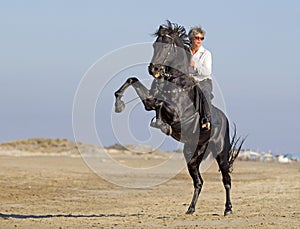 Horsewoman on the beach