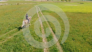 Horsewoman On A Palomino Horse Moving Across The Farm Field During The Daytime