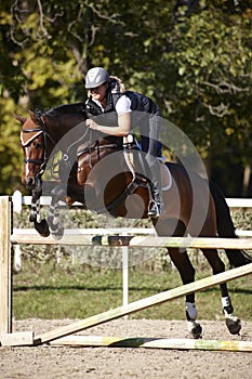 Horsewoman putting horse over the jumps