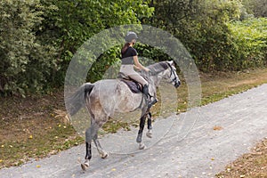 Horsewoman riding chestnut horse along the trail on a summer day