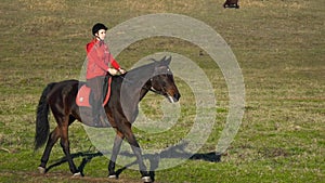 Horsewoman walking on a green field with cows. Slow motion