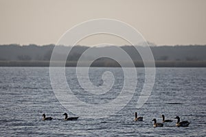 Horsey Mere at dusk in February