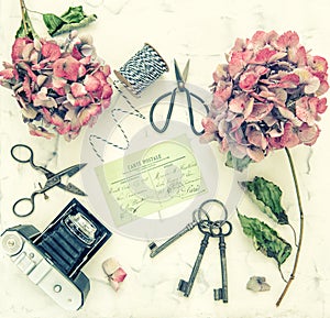 Hortensia flowers vintage scissors photo camera flat lay toned