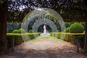 Horti Leonini, San Quirico d`Orcia, Tuscany, Italy photo