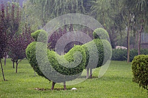 Horticultural model photo