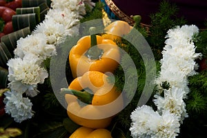 Horticultural Show at Lalbagh