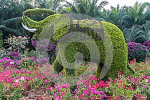 Horticultural works of lianhuashan park in shenzhen: elephants