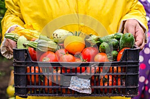 Horticulturist holding fresh vegetables