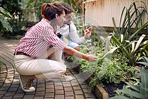 Horticulturists desinger working at urban garden.Planting,design flower garden