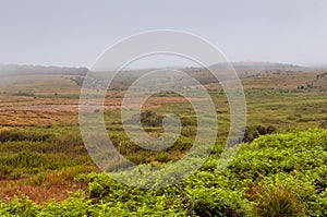 Horton Plains National Park. Sri Lanka