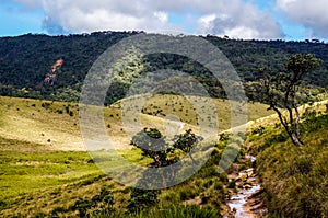 Horton plateau, Srilanka