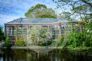 Hortus Botanicus, Amsterdam most famous botanical garden. Green nature and blue cloudy sky.