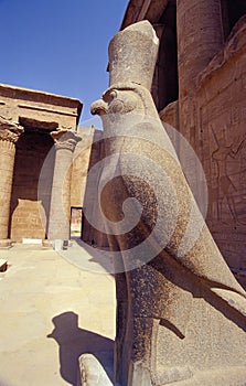 Horus Edfu temple